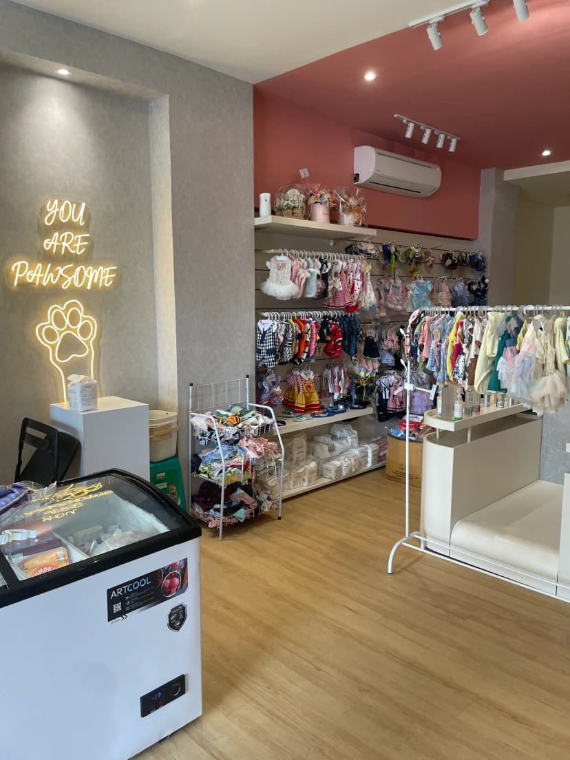 Pawship Store interior