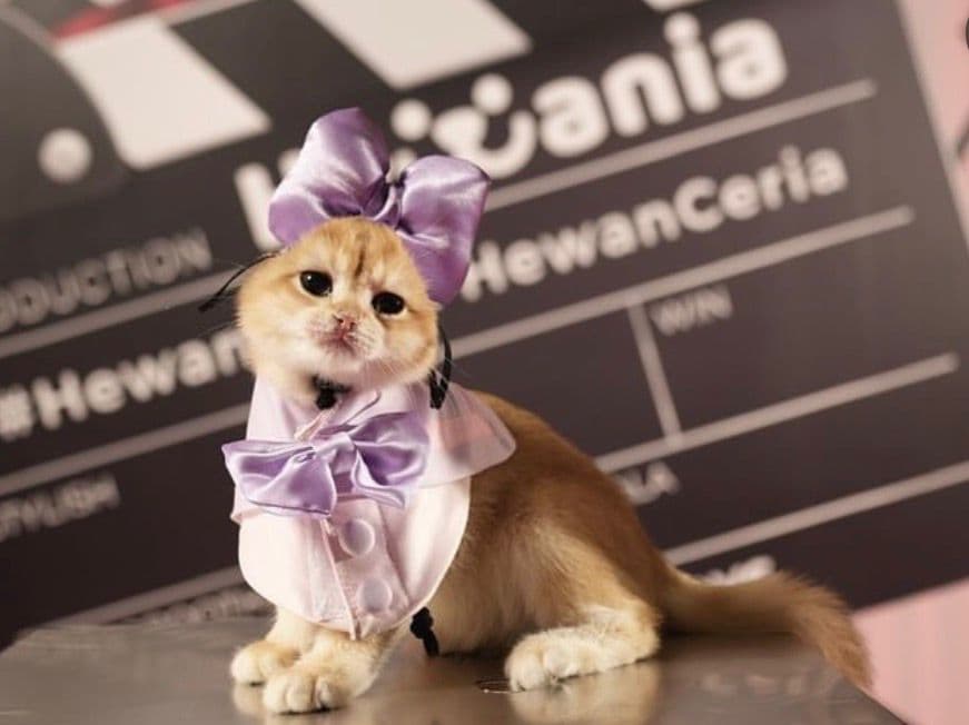 snugglebean's testimonial