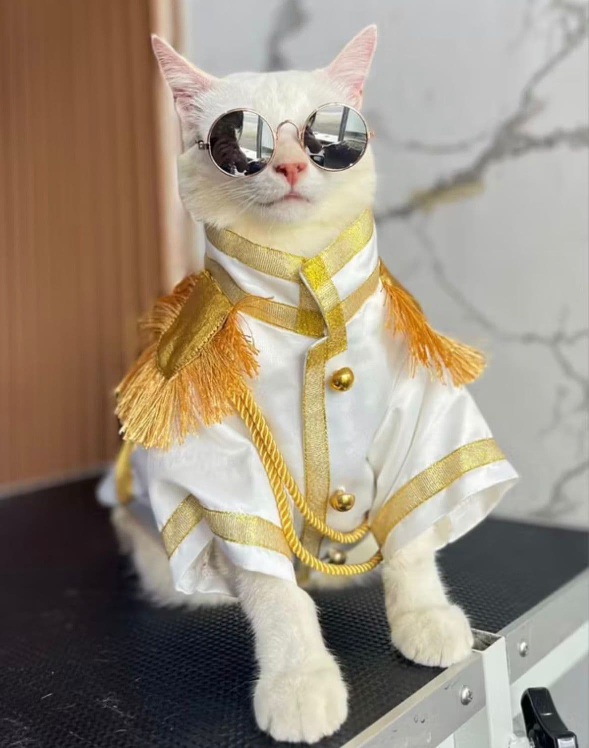 moscow.barkery's testimonial